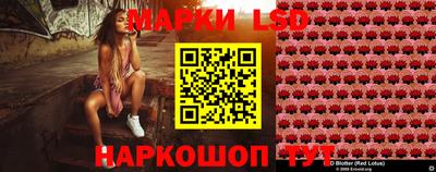 тгк Краснодар