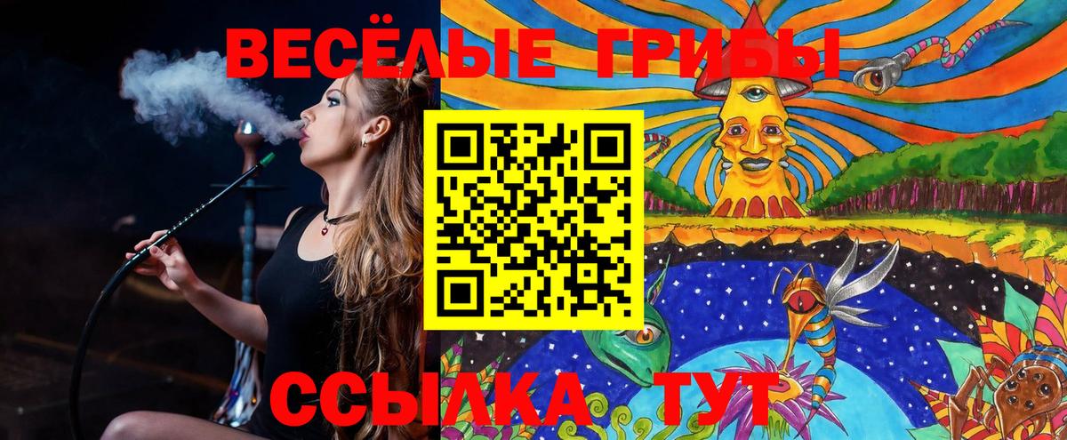 Каспийск  Галлюциногенные грибы MAGIC MUSHROOMS  Вход с VPN 